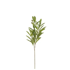 Sfeermakers|ohgreen Olijf branche groen - l55cm