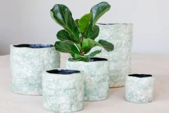 Potten En Vazen|ohgreen Orchidee pot reef