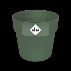Ecocheques|Potten En Vazen|ohgreen ORIGINAL ROND MINI 9CM BLAD GROEN