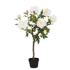 Sfeermakers|ohgreen Pioen in pot - l40xb50xh96cm