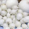 Plantgroente|Ecocheques|ohgreen Plantajuin snowball 8/21 250g