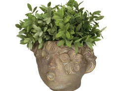 Potten En Vazen|ohgreen Planter gezicht beton goud