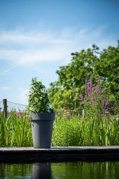 Kunststof|Ecocheques|ohgreen Pot