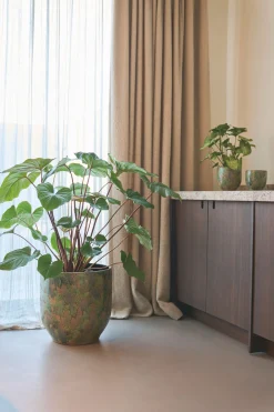 Potten En Vazen|ohgreen POT D44 ARRAY GRASGR