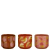 Potten En Vazen|ohgreen Pot fruit oranje roze paars 3 assorti display - h10,5xd12cm