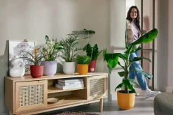Potten En Vazen|Ecocheques|ohgreen Pot jazz rond 14cm toscaans rood