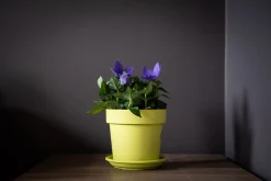 Kunststof|Ecocheques|ohgreen Pot rond happy 16 cm lime