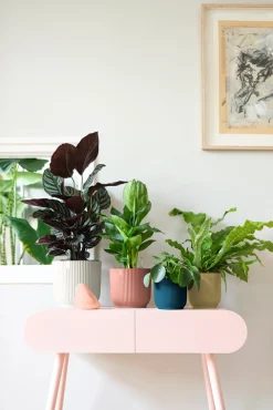 Ecocheques|Potten En Vazen|ohgreen Pot vibes fold 18cm botergeel