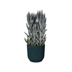 Potten En Vazen|Ecocheques|ohgreen Pot vibes fold 25cm diepblauw