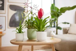 Ecocheques|Potten En Vazen|ohgreen Pot vibes fold 18cm zijdewit
