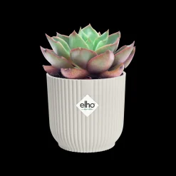 Potten En Vazen|Ecocheques|ohgreen Pot vibes fold 9cm zijdewit
