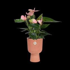 Potten En Vazen|Ecocheques|ohgreen Pot vibes fold coupe 14cm delicate roze