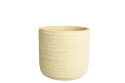 Potten En Vazen|ohgreen PRIMROSE Orch pot D14