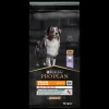 Werelddierendag|Hond Voeding|ohgreen PRO PLAN Medium&Large Adult Sensitive Digestion Kalkoen 12kg