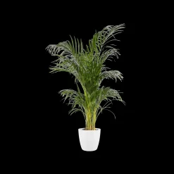 Ecocheques|Potten En Vazen|ohgreen Rond 16cm