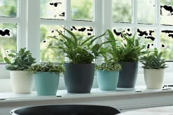 Ecocheques|Potten En Vazen|ohgreen Rond 16cm