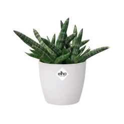 Ecocheques|Potten En Vazen|ohgreen Rond 9,5cm