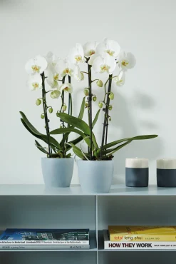 Kunststof|Ecocheques|ohgreen Rond 16cm