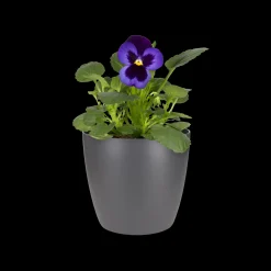 Ecocheques|Potten En Vazen|ohgreen Rond 10,5cm