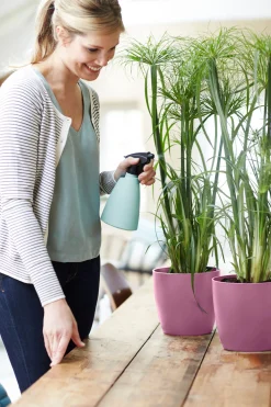 Potten En Vazen|Ecocheques|ohgreen Rond 18cm