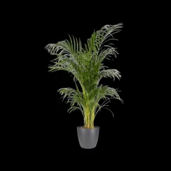 Ecocheques|Potten En Vazen|ohgreen Rond 16cm