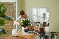 Bewatering|Ecocheques|ohgreen SELF-WATERING INSERT 36CM LIVING BLACK