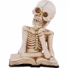Sfeermakers|Halloween|ohgreen Skelet on book led light natuur
