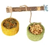 Vogels Voeding|ohgreen Snack