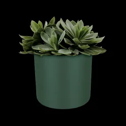 Ecocheques|Potten En Vazen|ohgreen SOFT ROND 18CM BLAD GROEN