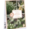 Ecocheques|Bloembollen|ohgreen Tas 'a bulb for every garden' met 30 bloembollen wet garden