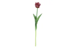 Sfeermakers|ohgreen Tulipa