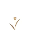 Sfeermakers|ohgreen Tulp metaal goud s (8x4x30cm)