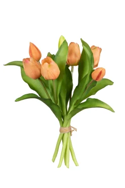 Sfeermakers|ohgreen Tulpenbundel zalm