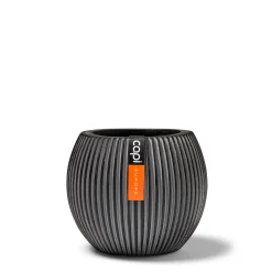 Potten En Vazen|ohgreen Vaas bol Groove 29x26