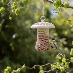 Voederhuisjes En Aanverwanten|ohgreen Voedersilo parasolzwam