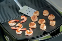 Accessoires En Onderhoud|ohgreen WEBER BAKPLAAT Q 2000 SERIES