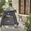 Accessoires En Onderhoud|ohgreen WEBER LUXE ONDERSTEL VOOR Q™ 2000 SERIE