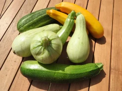Zaden|Ecocheques|ohgreen Zaden: courgette mengeling
