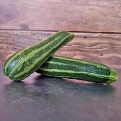 Zaden|Ecocheques|ohgreen Zaden: courgette verte d'italie
