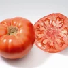Zaden|Ecocheques|ohgreen Zaden: tomaat marmande